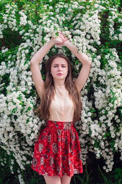 Güzel model aralığı bush beyaz çiçek