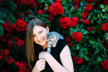 İngiliz Gri kedi elleri üzerinde bir kızla