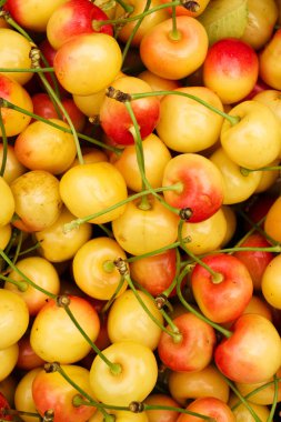 Lezzetli sarı kiraz geldi