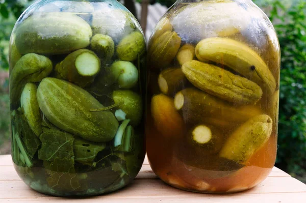 Pepinos enlatados caseros en un frasco de vidrio —  Fotos de Stock