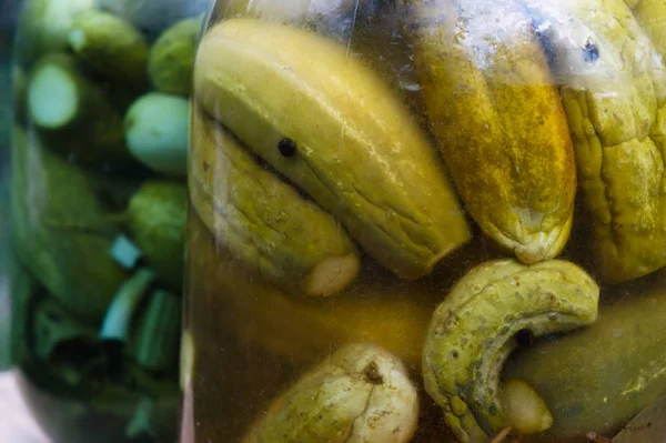 Timun kalengan buatan sendiri dalam botol kaca — Stok Foto