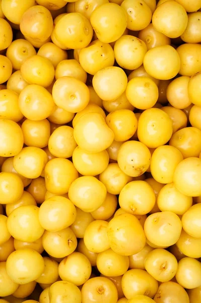 Megérkeztek a finom sárga cseresznye — Stock Fotó