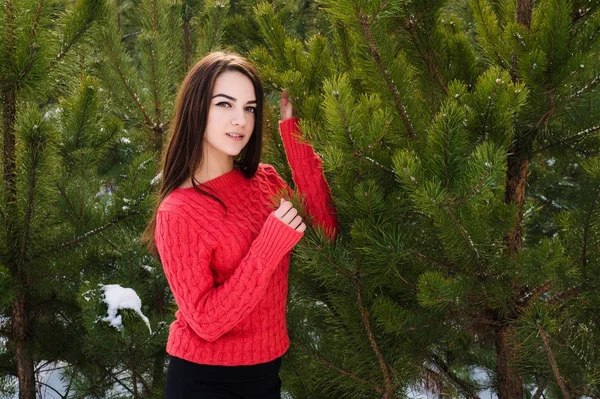 Mooi jong meisje in een witte winter forest — Stockfoto