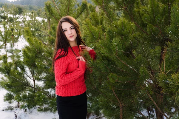 白い冬の森で美しい少女 — ストック写真