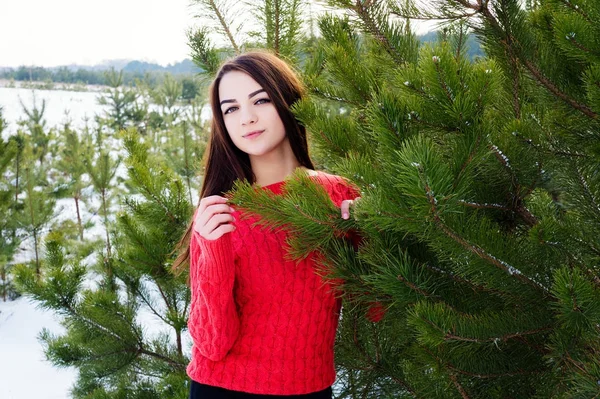 Mooi jong meisje in een witte winter forest — Stockfoto