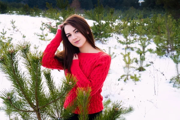 Девушка в парке зимой . — стоковое фото