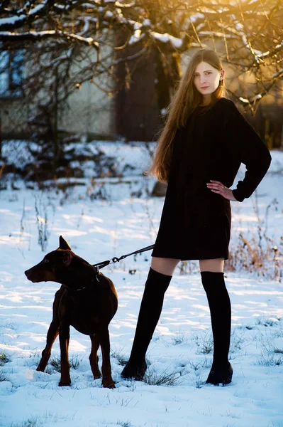 Mooi meisje lopen in een winter park met haar hond Dobermann-RAS — Stockfoto