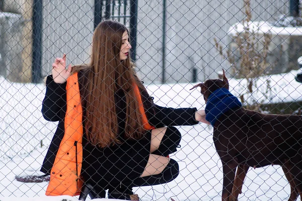 Genç bir kız bir kafes içinde Doberman'ın eski köpek gitti. Kış soğuk havalarda.