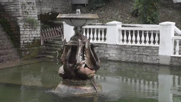 Brunnen in Podilsky Stein. — Stockvideo