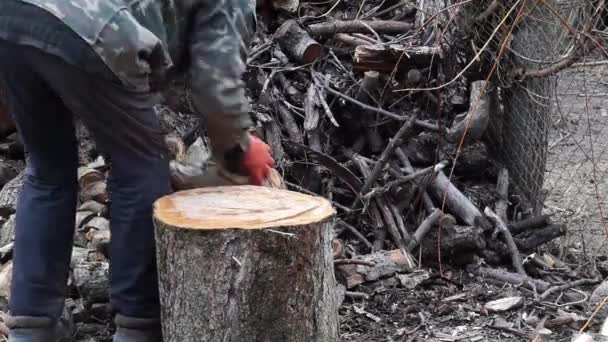 그 들은 화염을 그곳에 던졌노라. 배경. 자연 의나무로 된 백합 — 비디오