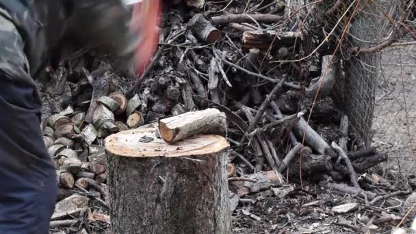 Broušení dřeva na podpal. pozadí. Příroda Dřevěné pozadí — Stock video