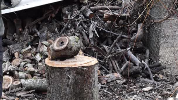 薪の細断処理。背景。天然木の背景 — ストック動画