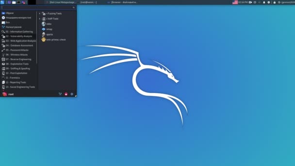 Hacker de trabalho com o sistema operacional. kali linux — Vídeo de Stock