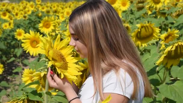 Jong mooi meisje glimlachen en neus snuiven bloeiende zonnebloem slow motion mensen — Stockvideo
