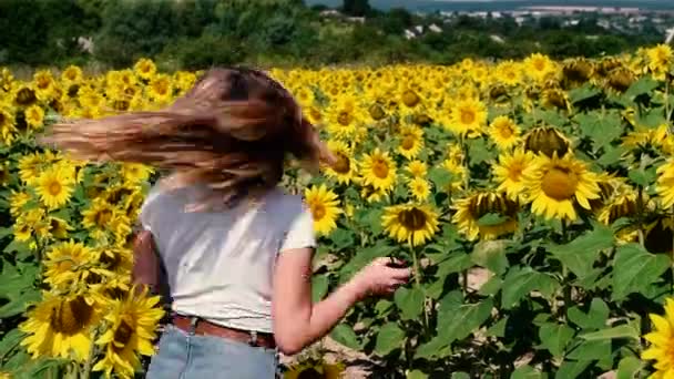 Schöne junge Mädchen in einem weißen T-Shirt dreht sich in einem Sonnenblumenfeld. — Stockvideo