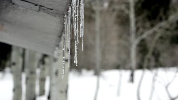 Eiszapfen auf dem Dach schmelzen — Stockvideo