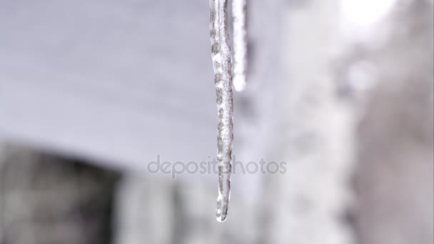 Τήξη Icicles στην κορυφή στεγών — Αρχείο Βίντεο