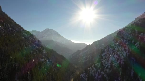 Flying American Fork Canyon Viewing Layers Mountains Moving Tree Tops — Stock Video