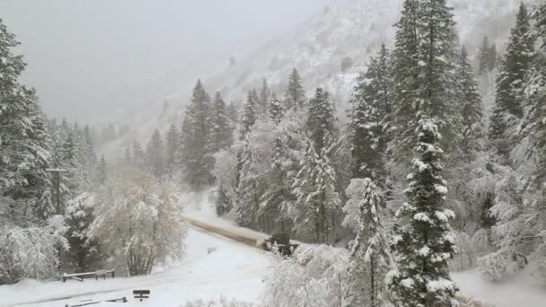 Aerial View Winter Storm Vehicles Driving Canyon Slick Roads Utah — Stock Video