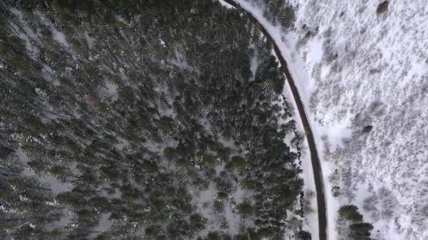 冬季空中俯瞰蜿蜒穿过峡谷的大路 从上方眺望松树林 — 图库视频影像
