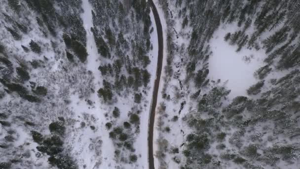 Άποψη Του Δρόμου Κοπής Μέσα Από Χιονισμένο Δάσος Από Εναέρια — Αρχείο Βίντεο