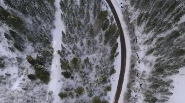 Ağaçların arasından esen yol gibi kış boyunca kanyondaki orman arazisinde karların üzerinde uçarak..