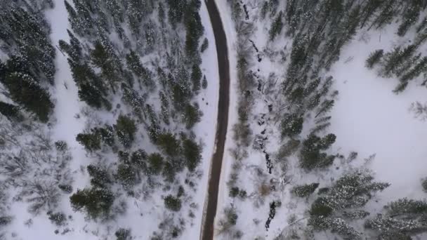 Vista Aérea Siguiendo Camino Serpenteando Través Del Bosque Invierno Volando — Vídeos de Stock