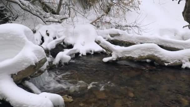 ユタ州の冬の間に峡谷で川に横たわっているログを覆う深い雪の眺め — ストック動画