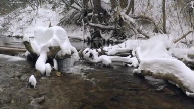 Utah 'ta kış boyunca derin karlarla kaplı odunların arasından akan küçük bir nehir..