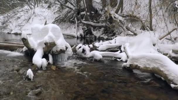Pequeno Rio Que Corre Através Troncos Cobertos Neve Profunda Durante — Vídeo de Stock