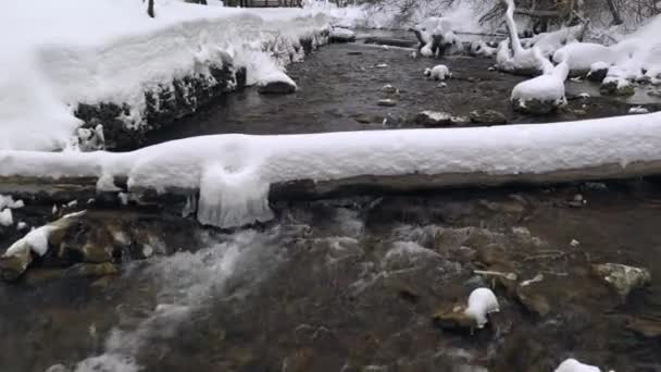 Vliegen Kleine Rivier Winter Met Diepe Verse Sneeuw Boomstammen Rotsen — Stockvideo