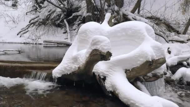 Panning Sobre Troncos Deitado Rio Coberto Neve Fresca Como Rio — Vídeo de Stock