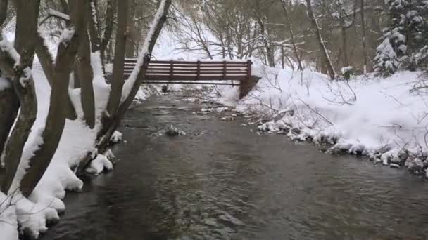 ユタ州の雪に覆われた峡谷で冬にそれの下に行く水の上の橋に向かって上を飛ぶ — ストック動画