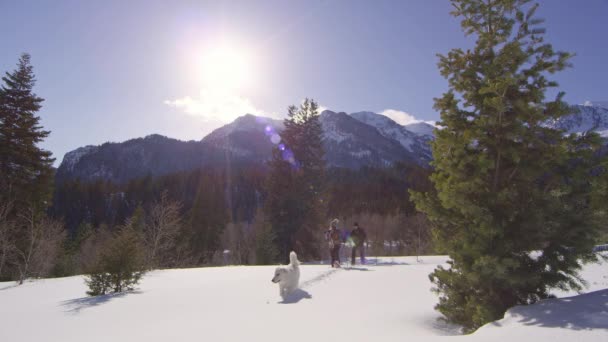 Hund Geht Durch Den Schnee Vor Paar Schneeschuhen Als Sie — Stockvideo