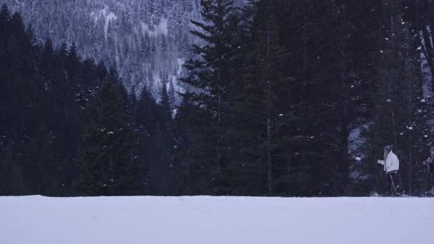 Dvě Dívky Sněžnice Vrcholu Kopce Lese Jak Sněží Západu Slunce — Stock video