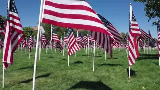 風に揺れる記念公園でのアメリカ国旗の眺め — ストック動画