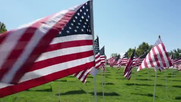 Amerykańskie Flagi Machają Wietrze Parku Ustawionym Rzędach Memoriał — Wideo stockowe