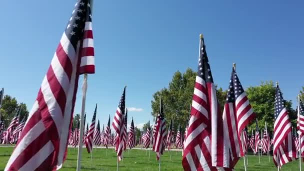 青い空が広がる晴れた日の公園でアメリカ国旗の展示を歩く — ストック動画