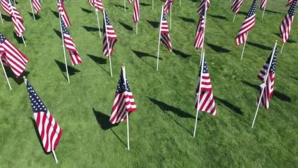 Vznášející Pozpátku Nad Americkou Vlajku Displej Parku Jak Jsou Seřazeny — Stock video