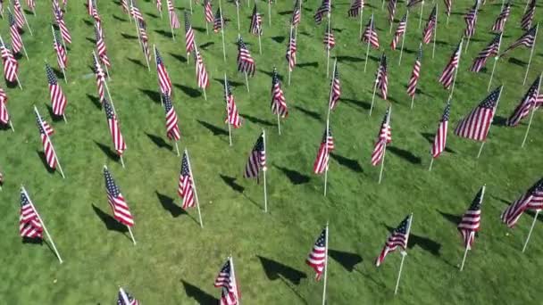 Volando Sobre Exhibición Memorial Banderas Americanas Filas Través Hierba Del — Vídeo de stock