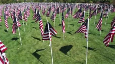 11 Eylül anısına parkta Amerikan Bayrakları sergileniyor..