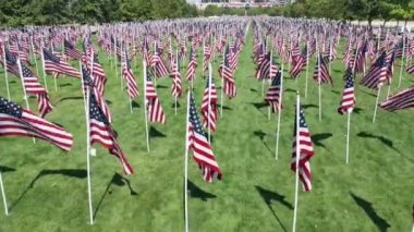 Havadan gelen rüzgarda sallanan Amerikan bayraklarıyla dolu bir park..