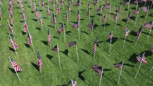 Slowly Flying American Flags Blowing Wind Memorial Park — Stock Video