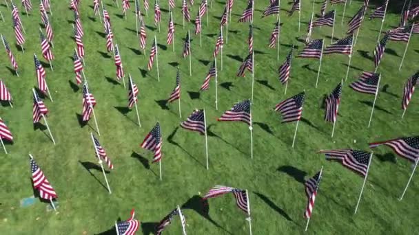 Flygfoto Flyger Över American Flags Visas Parken För Minnesmärke — Stockvideo