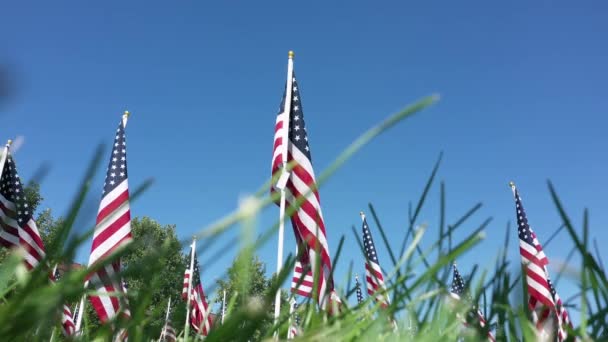 Vista Chão Bandeiras Americanas Acenando Olhando Através Grama Chão — Vídeo de Stock