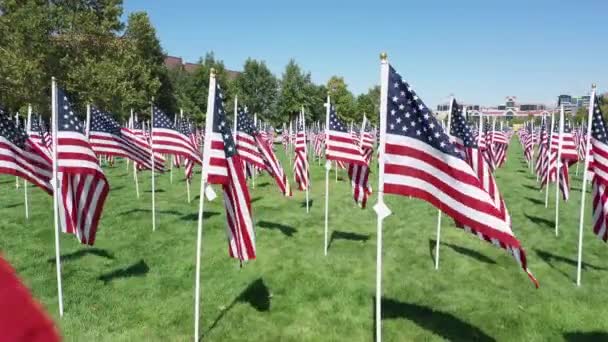 11を記念して公園内のアメリカ国旗の列を空を飛ぶ — ストック動画