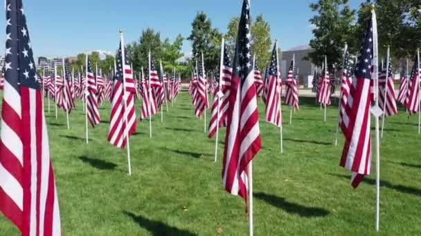 Voando Para Baixo Fileira Bandeiras Americanas Parque Para Memorial — Vídeo de Stock