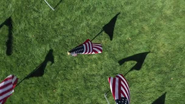 Stijgend Zicht Vanuit Lucht Amerikaanse Vlaggen Het Veld Dat Hoog — Stockvideo