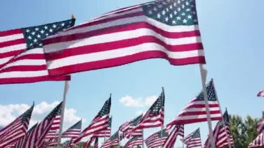 Güneşli bir günde rüzgarda dalgalanan Amerikan Bayrağı ekranında dalgalanıyor.