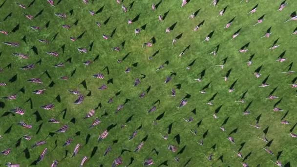 Aerial View Looking American Flags Starting Wave Wind Display Memorial — Stock Video